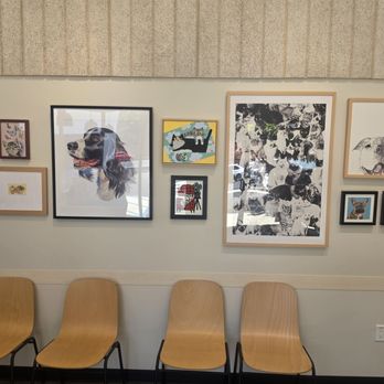 Veterinary Skin & Ear - Veterinarians Near Me - Los Angeles, California Veterinary Skin & Ear - Veterinarians Near Me - Los Angeles, California