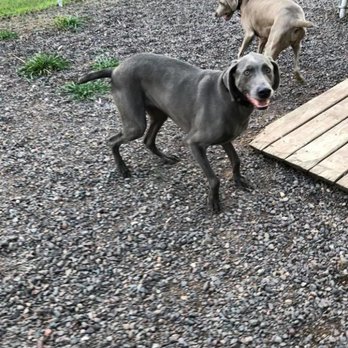 The Happy Hound Hotel - Pet Boarding Near Me - Rush City, Minnesota The Happy Hound Hotel - Pet Boarding Near Me - Rush City, Minnesota
