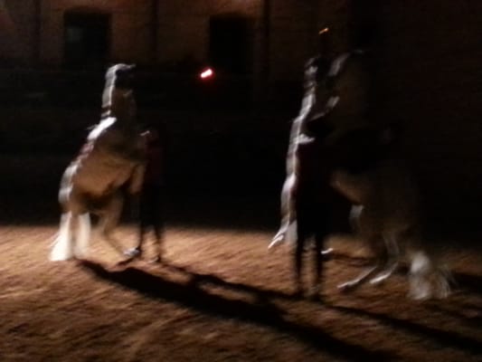 Caballerizas Reales by null