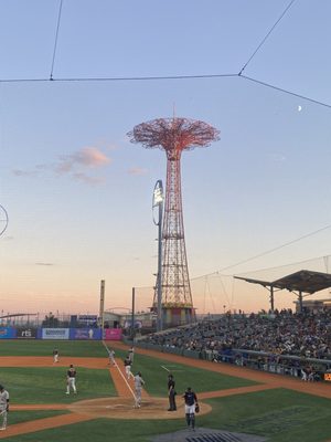 Brooklyn Cyclones by null