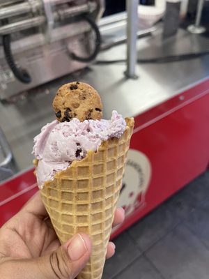 Nellie's Ice Cream by null
