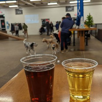 Unleashed Hounds and Hops - Tangled tinsale and wild state semi dry cider - Bars Near Me - Minneapolis, Minnesota Unleashed Hounds and Hops - Tangled tinsale and wild state semi dry cider - Bars Near Me - Minneapolis, Minnesota
