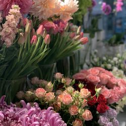 Britomart Florist