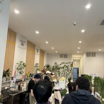 Bad Owl Coffee Roasters - Coffee Roasteries Near Me - Chicago, Illinois