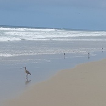 Ormond Beach - Beaches Near Me - Oxnard, California