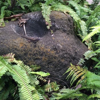 Bishop Museum - Look closely at the rock :D - Museums Near Me - Honolulu, Hawaii