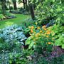 Rock Landscape & Gardens
