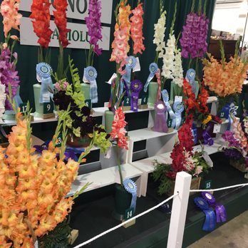 New York State Fair - winners - Festivals Near Me - Syracuse, New York