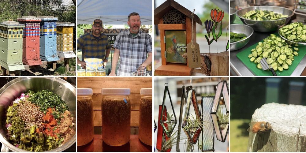 Wagglebee - beekeeping in Taunton, MA