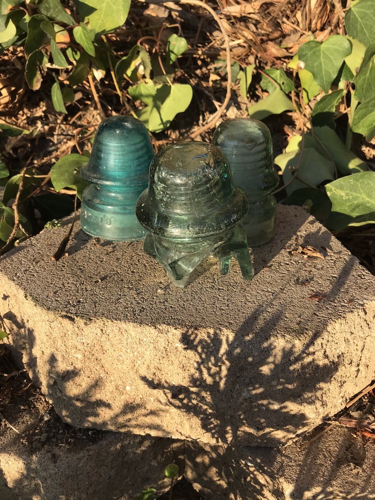 Three Men And A Tree - tree service in San Diego, CA