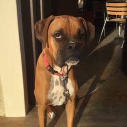 Craft Coffee Roasters - Not sure if Shasta is a morning person