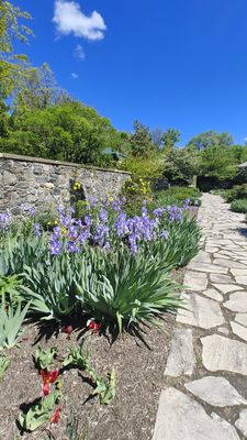 Marian Coffin Gardens at Gibraltar by null