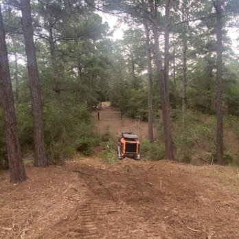 Crosscut Land Clearing - Road through the forest - Tree Services Near Me