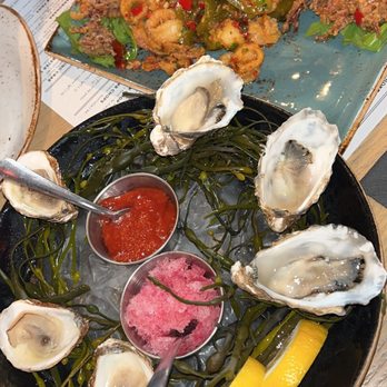 Single Barrel Social - Oysters and calamari - Cocktail Bars Near Me - Brighton, Michigan