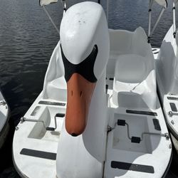Wheel Fun Rentals - Lake Balboa Bikes - Btw this is Swanette