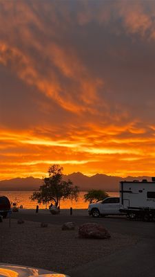 Lake Havasu State Park by null