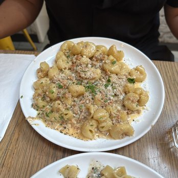 Forma Pasta Factory - Pipette Ragu - Pasta Shops Near Me - Brooklyn, New York Forma Pasta Factory - Pipette Ragu - Pasta Shops Near Me - Brooklyn, New York