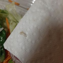 Pizza Chef - Dirty fingernail in Chef Salad