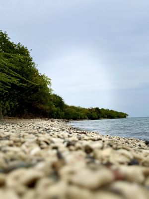 Tamarindo Beach by null