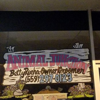 Animal Junction Pet Grooming Center - Pet Sitting Near Me - Clovis, California