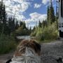 Photo of Tolsona Wilderness Campground
