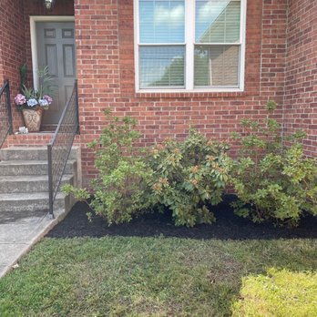 King Landscape - After - Tree Services Near Me - Nashville, Tennessee King Landscape - After - Tree Services Near Me - Nashville, Tennessee