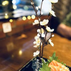 Miso - Flower Love