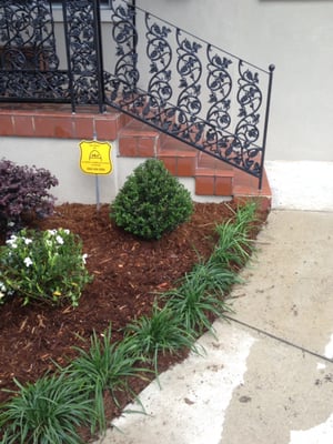 Sean's Landscaping by null