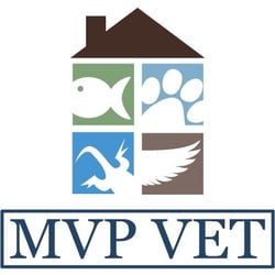 MVP Vet