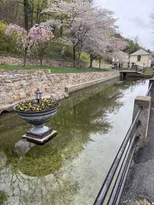 Berkeley Springs State Park by null