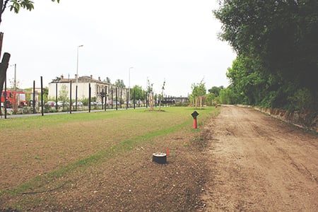 Parc aux Angéliques by null