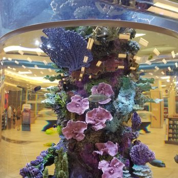 Scheels - Fish tank inside Scheel's - Hunting & Fishing Supplies Near Me - The Colony, Texas