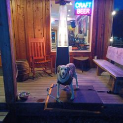 The Keg and I - Come on down and visit Bailey!