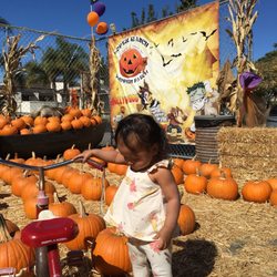 Pumpkin Patches In Santa Ana Yelp