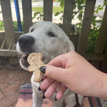 Peacham Café - Lady Bug and her special treat. - Breakfast & Brunch Near Me - Peacham, Vermont
