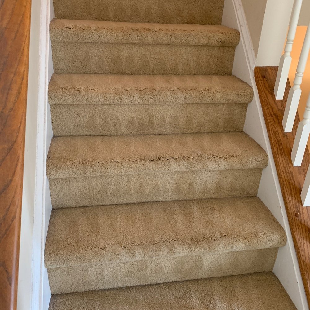 DLS carpet cleaning - Carpet Cleaning Near Me