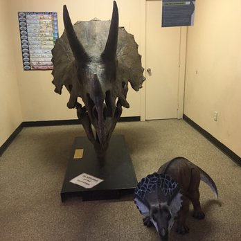 Dinosaur Ridge - Museums Near Me - Morrison, Colorado