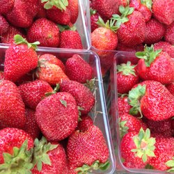 Oak Marr Farmers Market