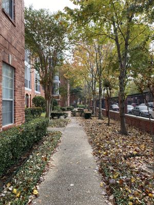 The Lanesborough by null