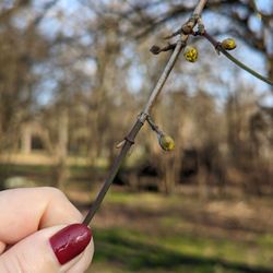 Park Jordana - Spring!