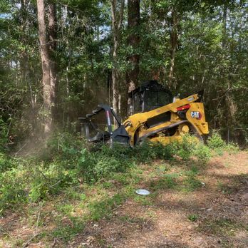 Speedy Land Clearing and Management - Image of the before clearing - Tree Services Near Me - Jay, Florida