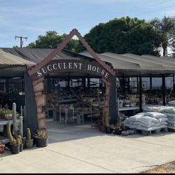 Shuna’s Succulent House - Welcome!