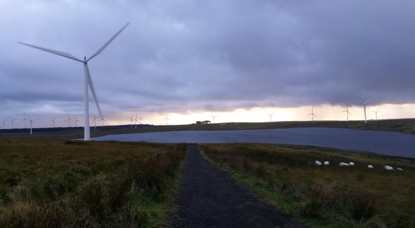 Whitelee wind farm by null