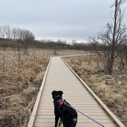 Huff Park