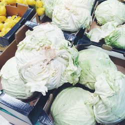 Lidl Kungsängen - Supersized white cabbage, november 2017