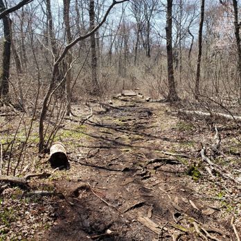 Lost Pond Reservation - Parks Near Me - Chestnut Hill, Massachusetts