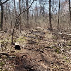 Lost Pond Reservation