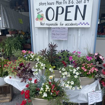 Wise Produce  - a display of flowers and plants - Fruits & Veggies Near Me - Newmanstown, Pennsylvania