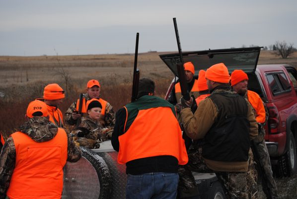 Kolling Pharm German Shepherds