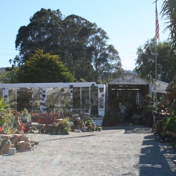 Los Osos Valley Nursery - I didn't take too many photos of my own but I found a few photos off their website. - Nurseries & Gardening Near Me - Los Osos, California